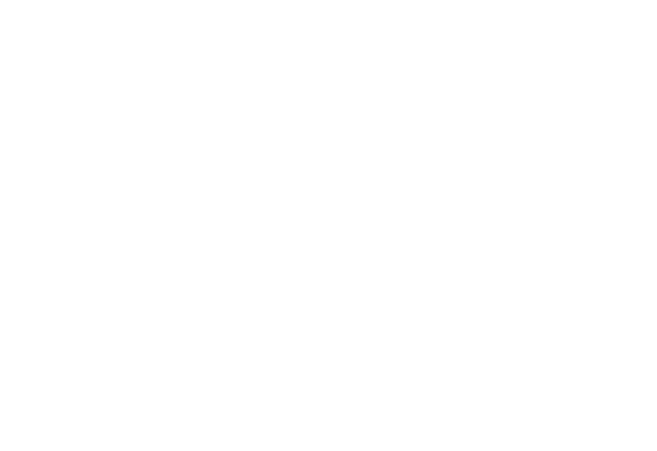 Mad Studio